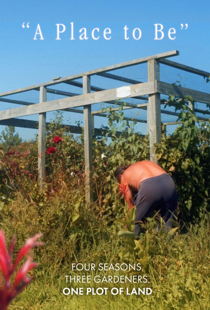 Poster for “A Place to Be” showing a person gardening in an overgrown allotment beneath a wooden trellis frame.